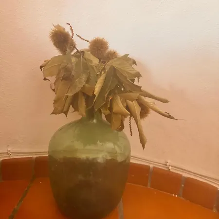 Nuestra Casa Parauta